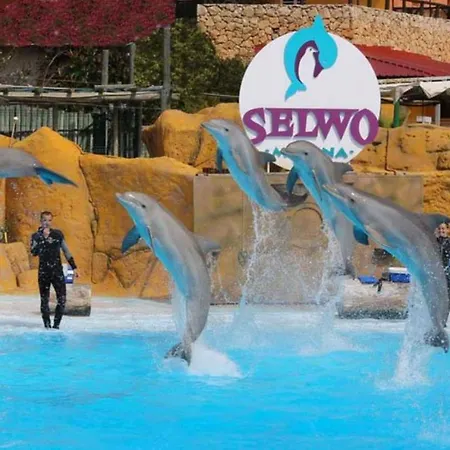 Apartment Luxury Piscis